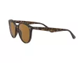 Ray-Ban Slnečné okuliare RB 4305 710/83