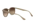 Ray-Ban Slnečné okuliare RB 4306 616613