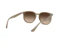 Ray-Ban Slnečné okuliare RB 4306 616613