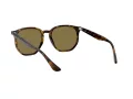 Ray-Ban Slnečné okuliare RB 4306 710/73