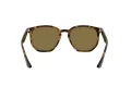 Ray-Ban Slnečné okuliare RB 4306 710/73