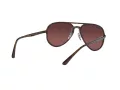 Ray-Ban Slnečné okuliare RB 4320/CH 710/6B