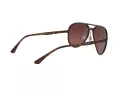 Ray-Ban Slnečné okuliare RB 4320/CH 710/6B