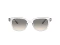 Ray-Ban Slnečné okuliare RB 4323 6447/32