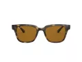 Ray-Ban Slnečné okuliare RB 4323 710/33