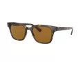 Ray-Ban Slnečné okuliare RB 4323 710/33