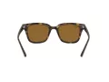 Ray-Ban Slnečné okuliare RB 4323 710/33