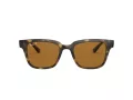 Ray-Ban Slnečné okuliare RB 4323 710/83