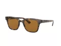 Ray-Ban Slnečné okuliare RB 4323 710/83