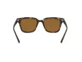 Ray-Ban Slnečné okuliare RB 4323 710/83