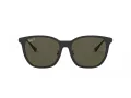 Ray-Ban Slnečné okuliare RB 4333D 601/9A