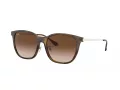Ray-Ban Slnečné okuliare RB 4333D 710/13
