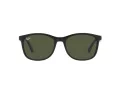 Ray-Ban Slnečné okuliare RB 4374 601/31