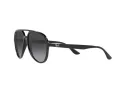 Ray-Ban Slnečné okuliare RB 4376 601/8G