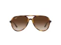 Ray-Ban Slnečné okuliare RB 4376 710/13