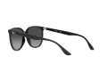 Ray-Ban Slnečné okuliare RB 4378 601/8G