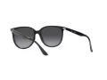 Ray-Ban Slnečné okuliare RB 4378 601/8G