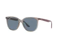 Ray-Ban Slnečné okuliare RB 4378 6572/2V