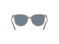 Ray-Ban Slnečné okuliare RB 4378 6572/2V