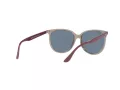 Ray-Ban Slnečné okuliare RB 4378 6572/2V
