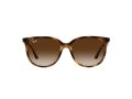 Ray-Ban Slnečné okuliare 4378 710/13