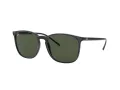 Ray-Ban Slnečné okuliare RB 4387 601/71