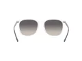 Ray-Ban Slnečné okuliare RB 4387 6477/11
