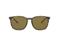 Ray-Ban Slnečné okuliare RB 4387 710/73