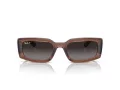 Ray-Ban Kiliane Slnečné okuliare RB 0RB4395 6678T3