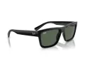 Ray-Ban Warren Slnečné okuliare RB 4396 667771