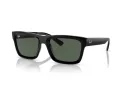 Ray-Ban Warren Slnečné okuliare RB 4396 667771