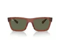Ray-Ban Warren Slnečné okuliare RB 0RB4396 66789A