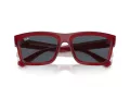 Ray-Ban Warren Slnečné okuliare RB 0RB4396 667987