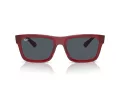 Ray-Ban Warren Slnečné okuliare RB 0RB4396 667987