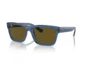 Ray-Ban Warren Slnečné okuliare RB 0RB4396 668073