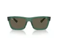Ray-Ban Warren Slnečné okuliare RB 0RB4396 6681/3