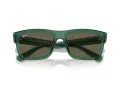 Ray-Ban Warren Slnečné okuliare RB 0RB4396 6681/3
