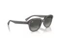 Ray-Ban Erik Slnečné okuliare RB 0RB4398 667571