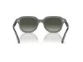 Ray-Ban Erik Slnečné okuliare RB 0RB4398 667571