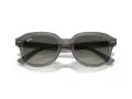 Ray-Ban Erik Slnečné okuliare RB 0RB4398 667571