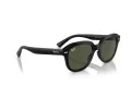 Ray-Ban Erik Slnečné okuliare RB 4398 901/31