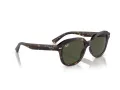 Ray-Ban Erik Slnečné okuliare RB 0RB4398 902/31