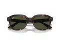 Ray-Ban Erik Slnečné okuliare RB 0RB4398 902/31