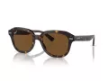 Ray-Ban Erik Slnečné okuliare RB 0RB4398 902/57