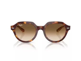 Ray-Ban Gina Slnečné okuliare RB 4399 141451