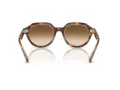 Ray-Ban Gina Slnečné okuliare RB 4399 141451