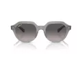 Ray-Ban Gina Slnečné okuliare RB 0RB4399 6429M3