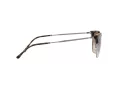 Ray-Ban New Clubmaster Slnečné okuliare RB 4416 710/51