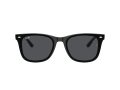 Ray-Ban Slnečné okuliare RB 4420 601/87