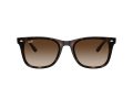 Ray-Ban Slnečné okuliare RB 4420 710/13